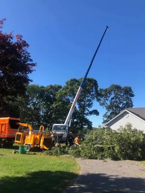 Tree service truck with extended crane removing a fallen tree on a suburban driveway