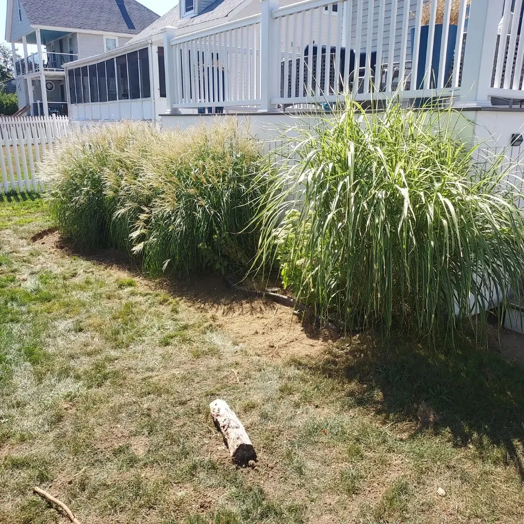 JL's Lawn care