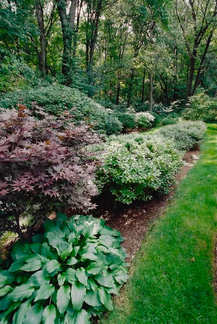 work photo from cataldolandscaping.com