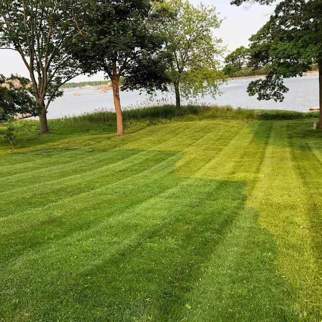 Waterfront lawn mown in stripes under shade trees