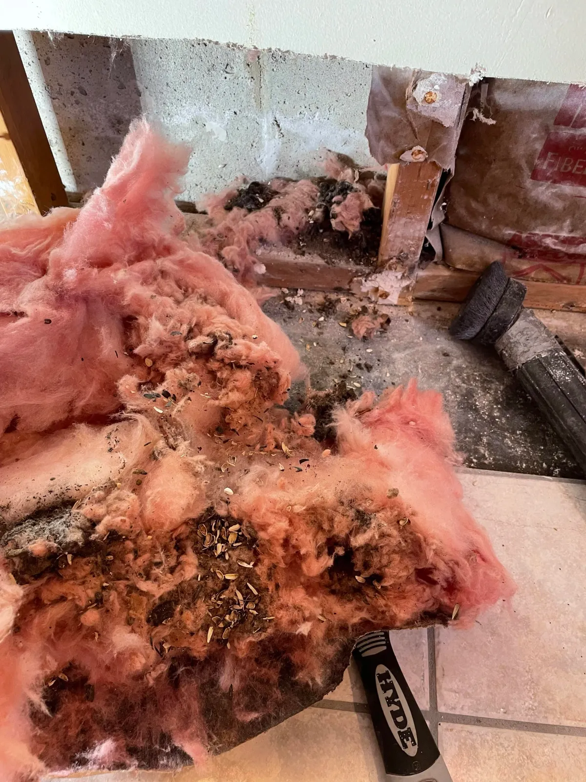 A mouse infestation can create a stink.