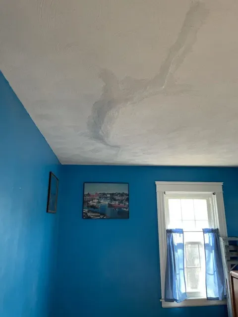 Greco Harold Jr Plaster Perfection work photo