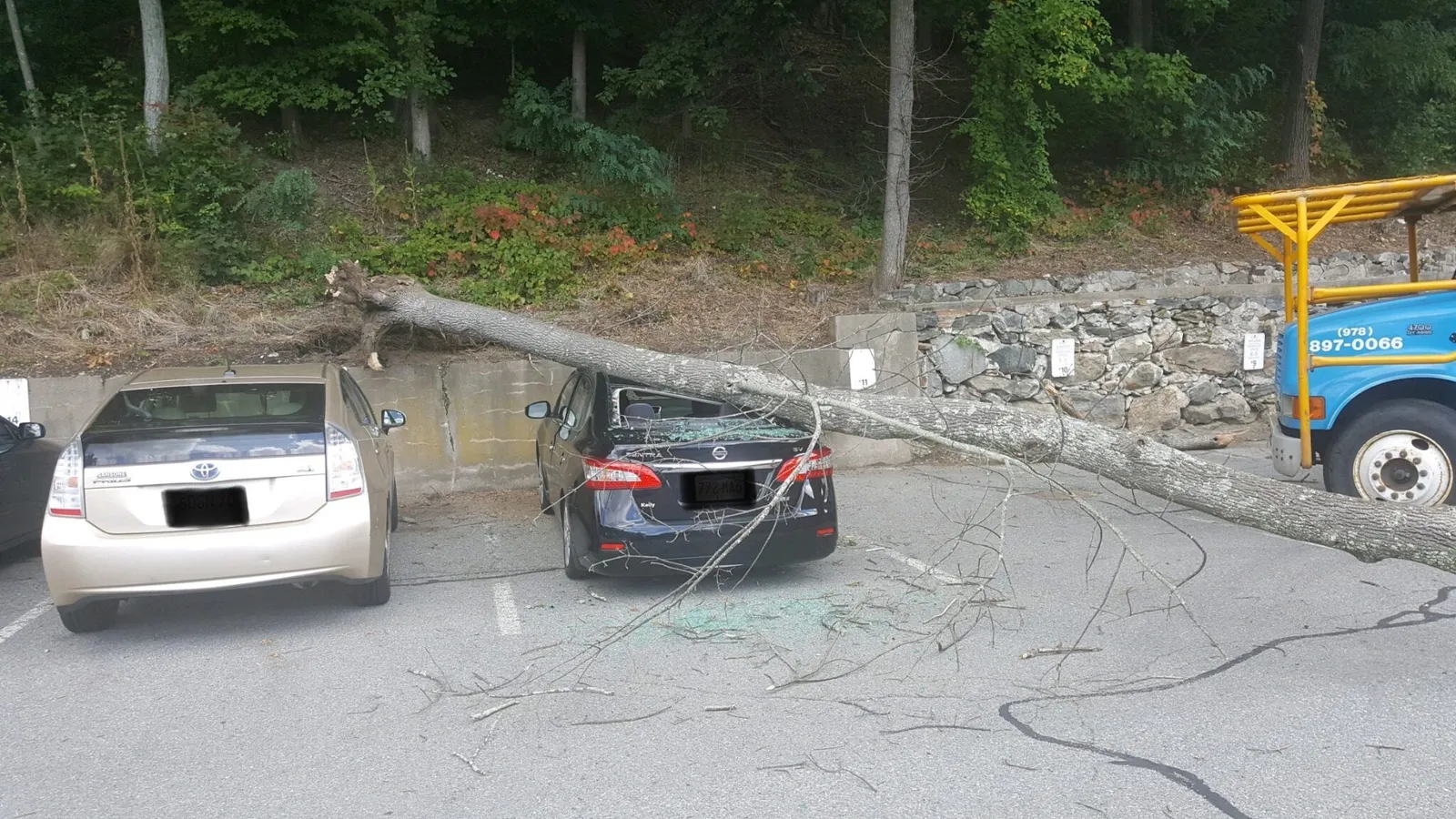 smooshedcarwideshot