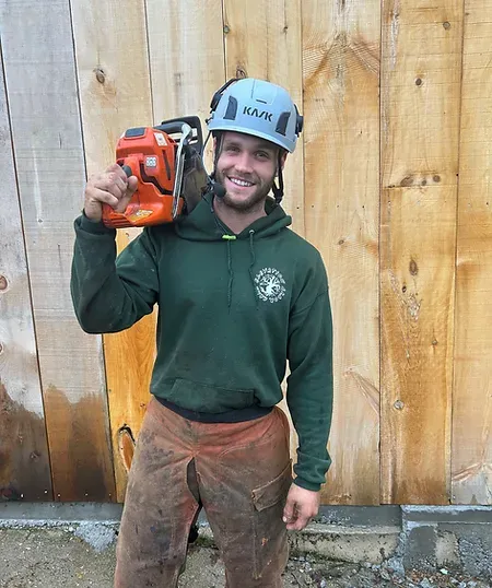 Certified Arborist in North Conway