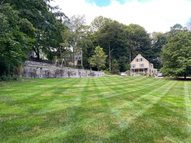 Core aeration and overseeding results on NH lawn