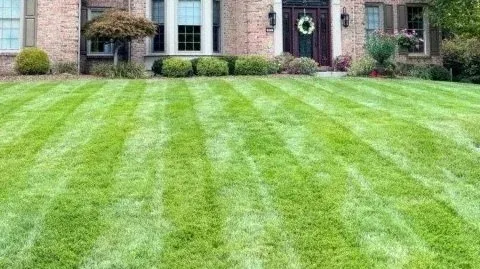 Front yard with well-maintained green lawn and a house in the background with a wreath on the door.