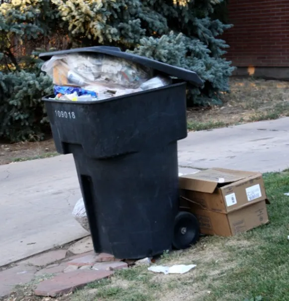 Neighborhood Trash Disposal Company work photo