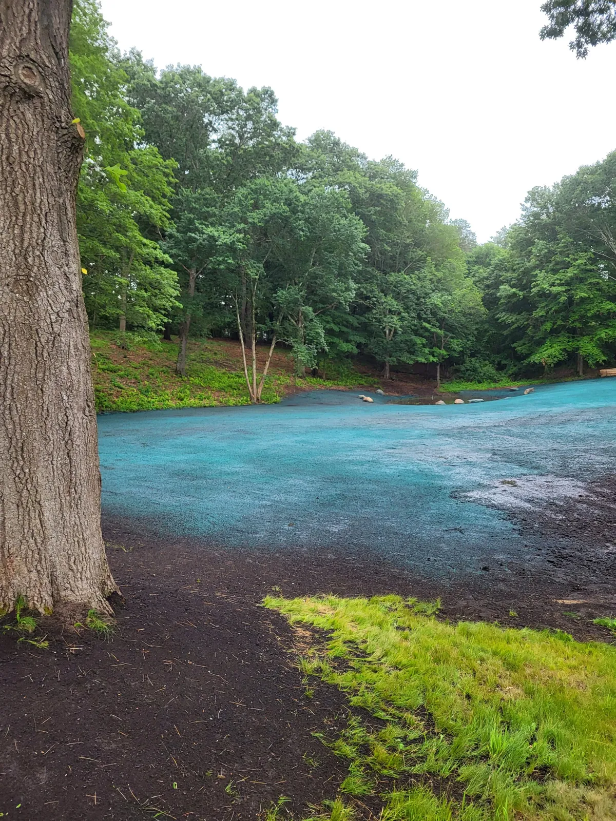 work photo from clarkhydroseeding.com