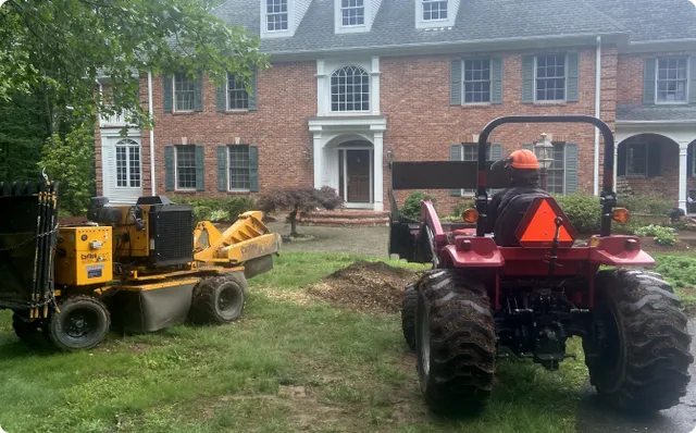 Valley Stump Grinding work photo