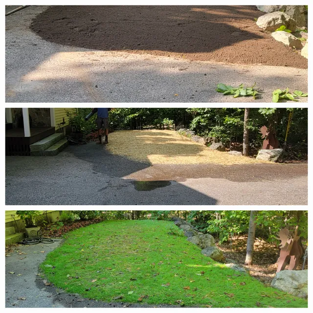 Quality Evergreens work photo
