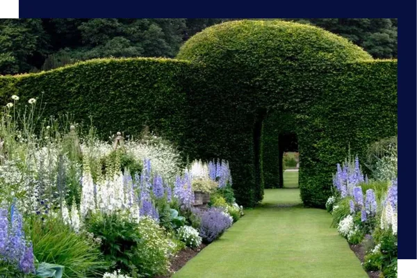 flower garden