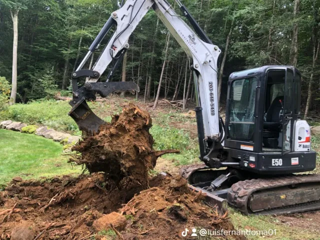 work photo from mjtreeservicesllc.com