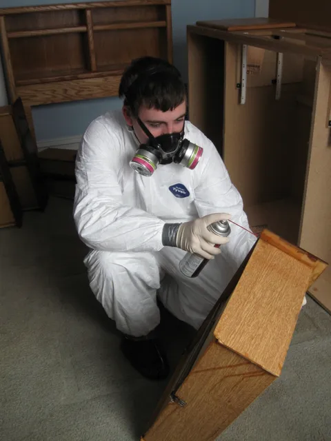 Pest Control Boston King work photo
