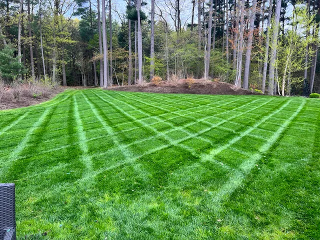 Top Choice Hydroseeding work photo