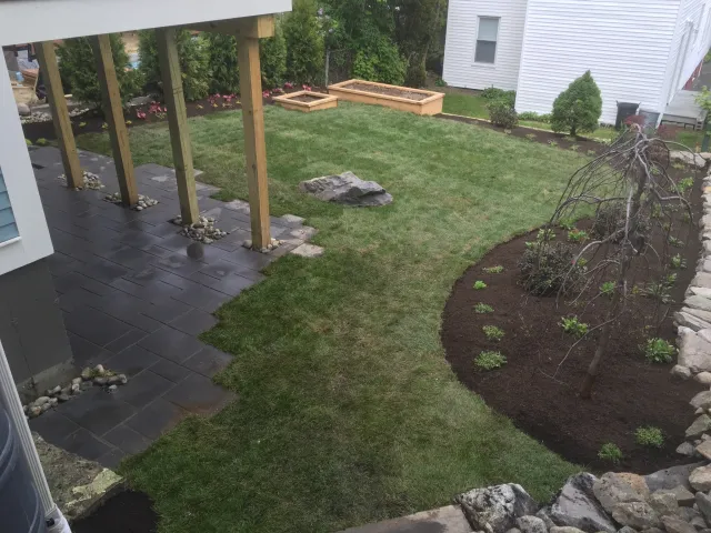 back yard kaites.png