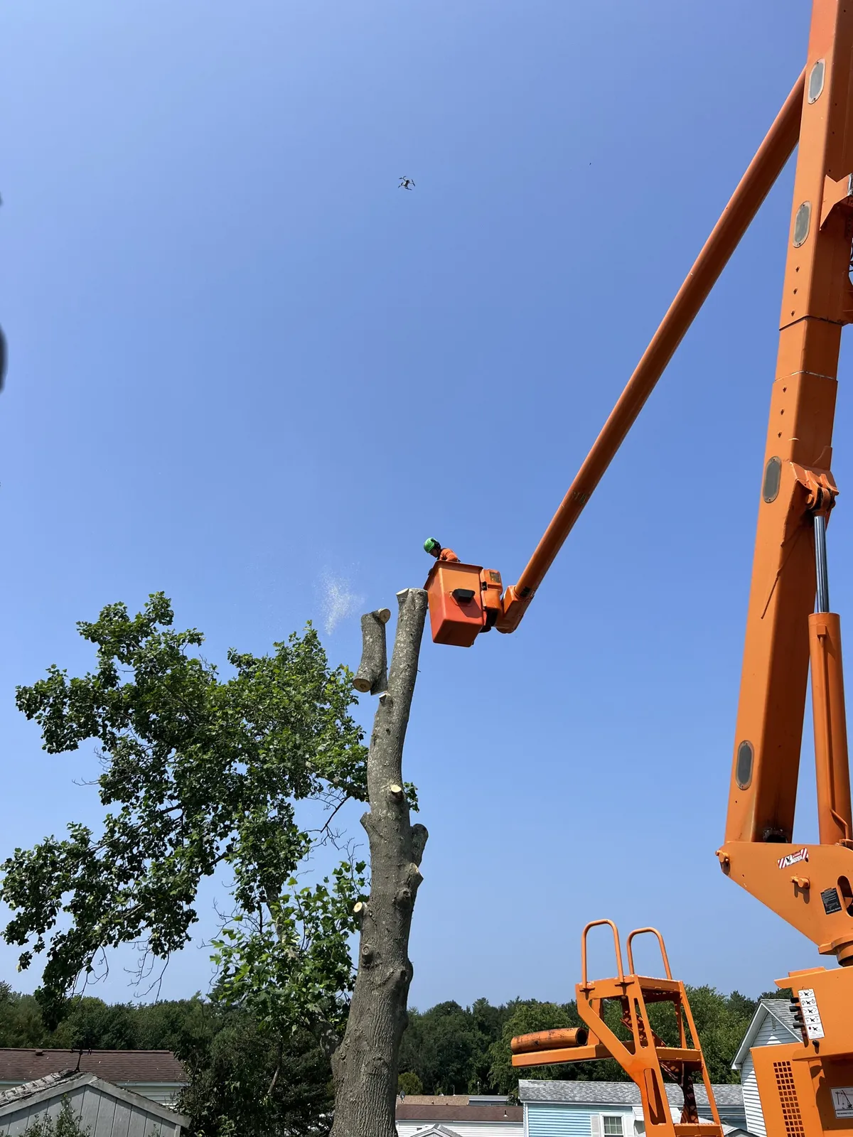 work photo from walnuttreeservice.com