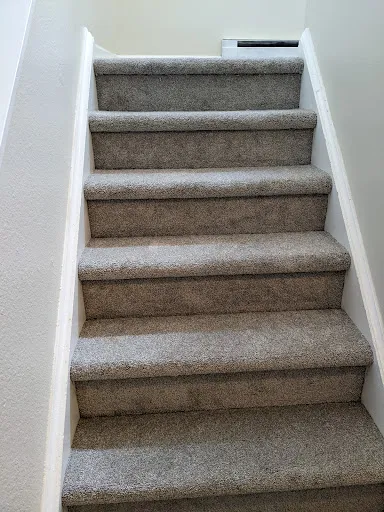 Carpet Excellence work photo