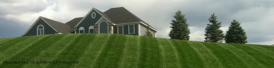 work photo from dalmatianlandscaping.com