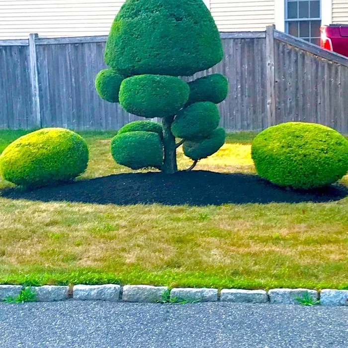Burgess Landscape Design Construction & Tree Service researched project photo