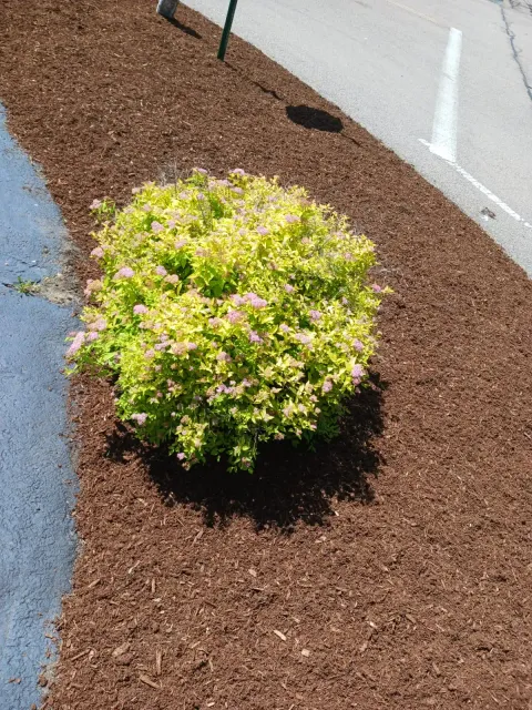 work photo from pjlandscapingpro.com