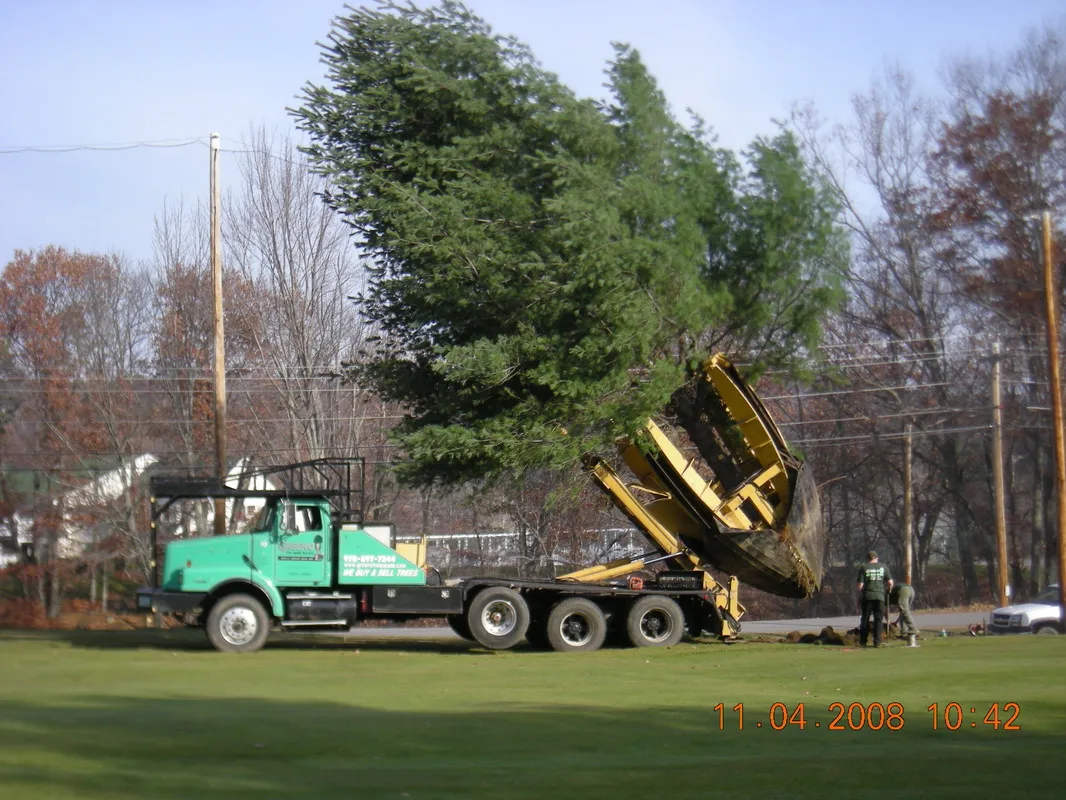 work photo from greenotreemovers.com