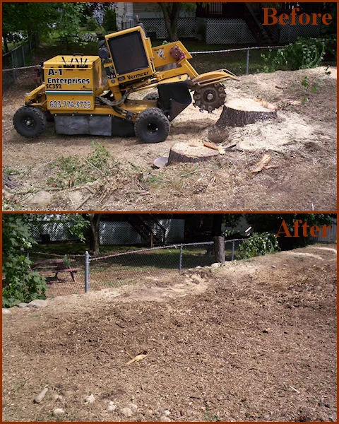 work photo from centralnhstumpgrinding.com