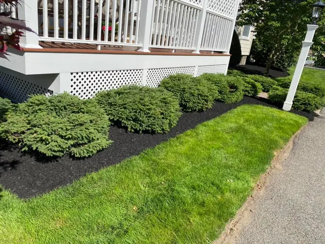 Jose Peña Landscaping work photo