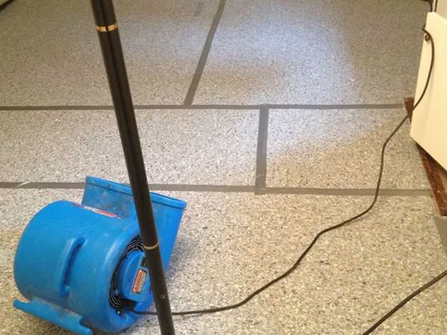 work photo from carpetcleaningneedham.com