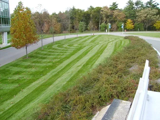 work photo from vpitollandscape.com