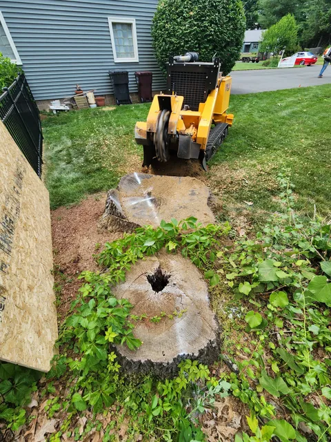 work photo from pioneerstump.com