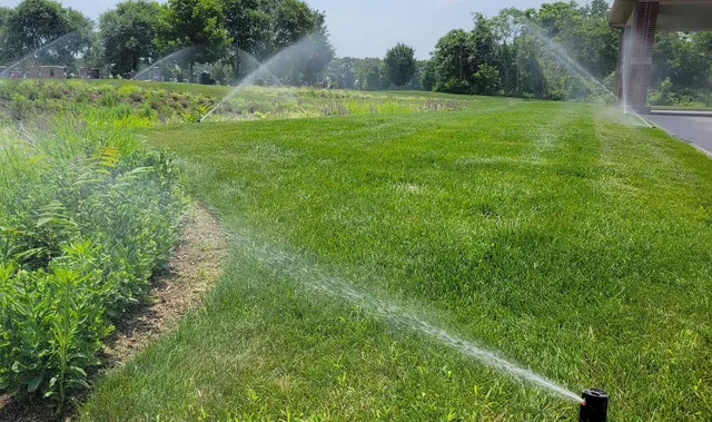 A lawn sprinkler is spraying water on a lush green field.