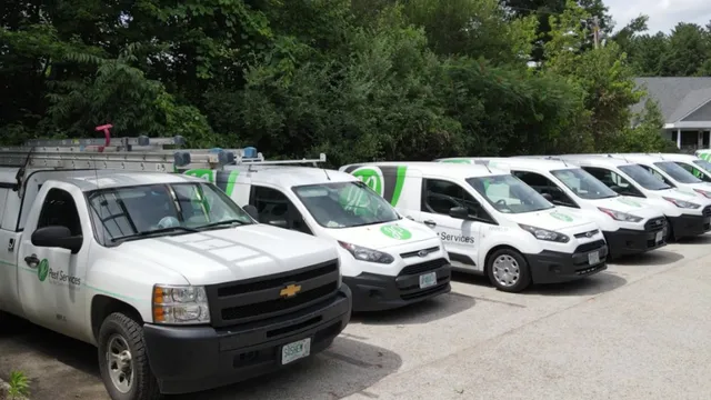 JP Pest Services work photo