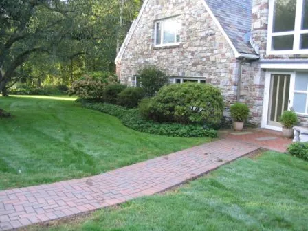 shrubs maintained by Ideal Landscape