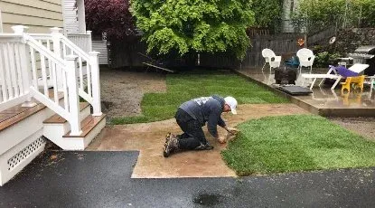 Person laying sod in yard area in Boston, MA.
