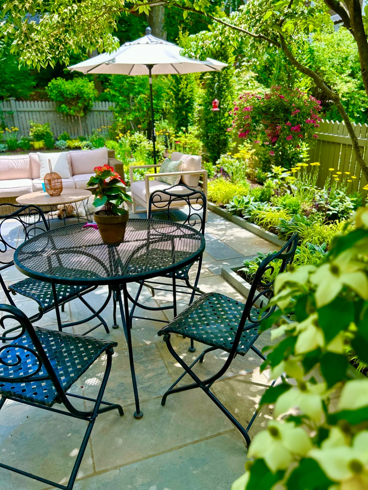Revitalize your landscape!.jpg