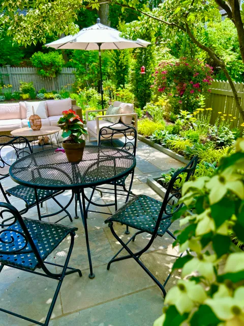 Revitalize your landscape!.jpg