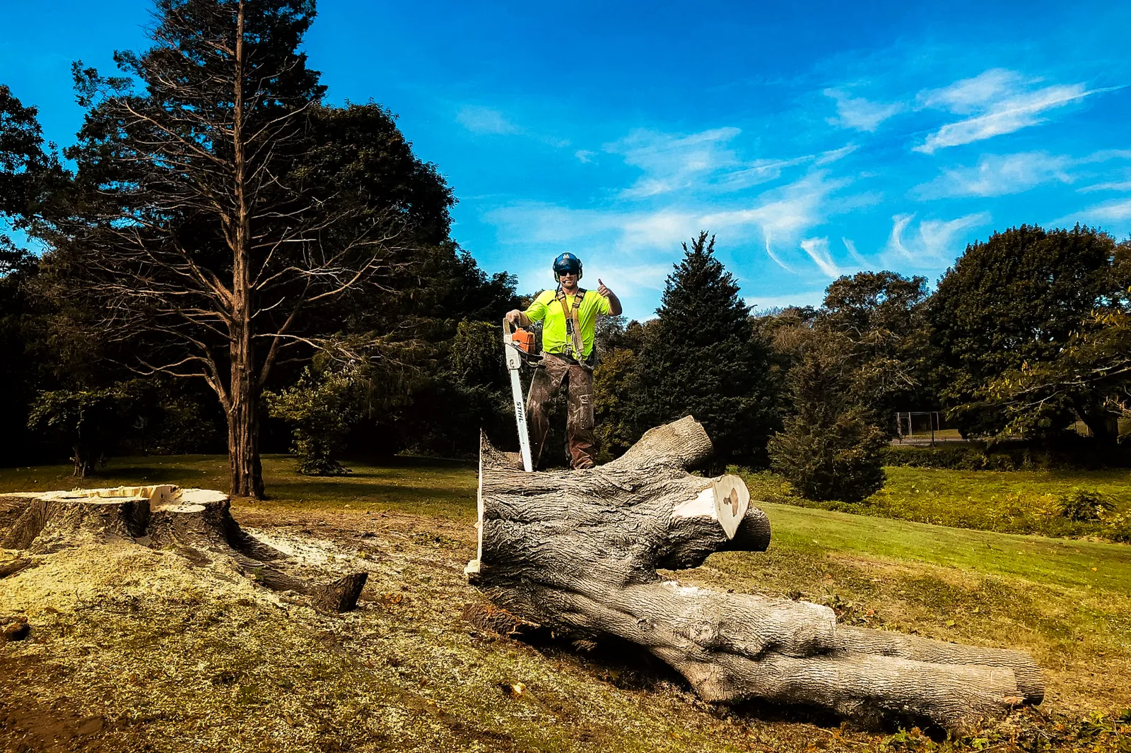 work photo from Google listing