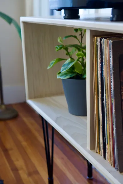 Wooden shelf with potted plant and vinyl records