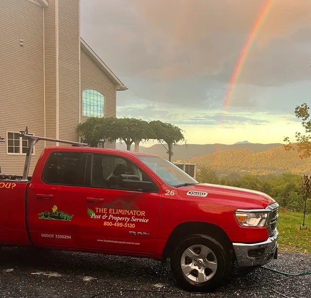 The Eliminator Pest & Property Service work photo