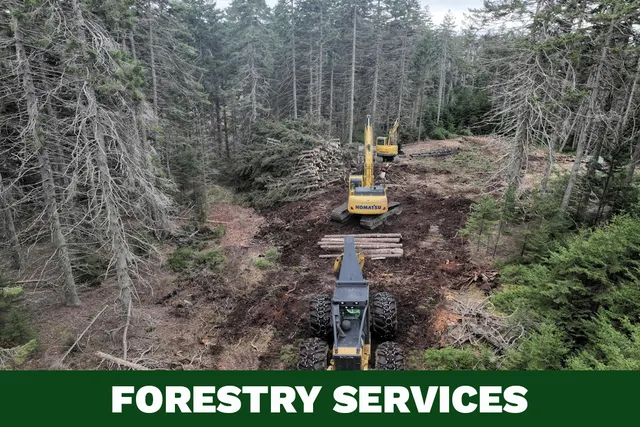 Forestry