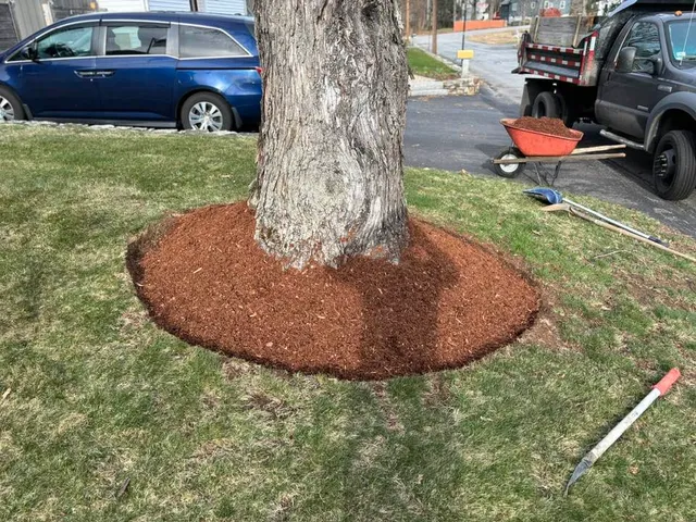 work photo from actonlawnmowing.com