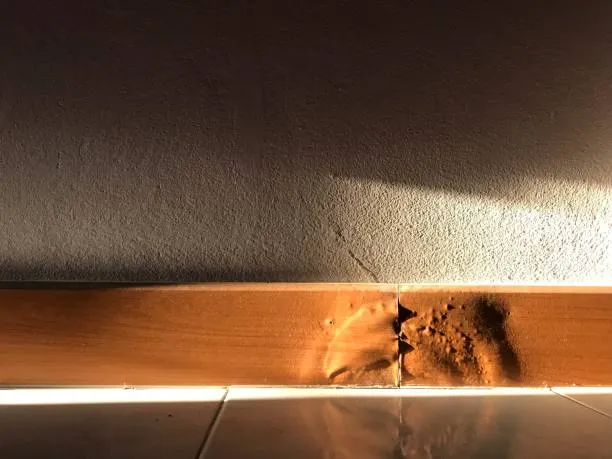 Water Damaged Baseboards