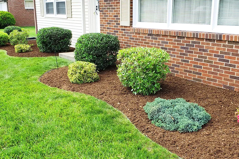 Mulch install in East Longmeadow, MA