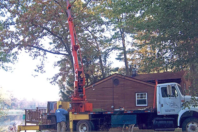 Lavigne's Tree Service LLC work photo