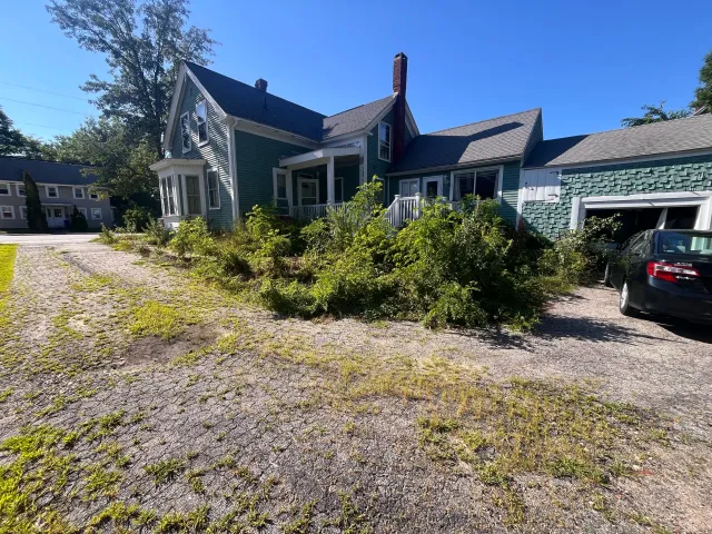 Over grown yard. Brush and shrub removal