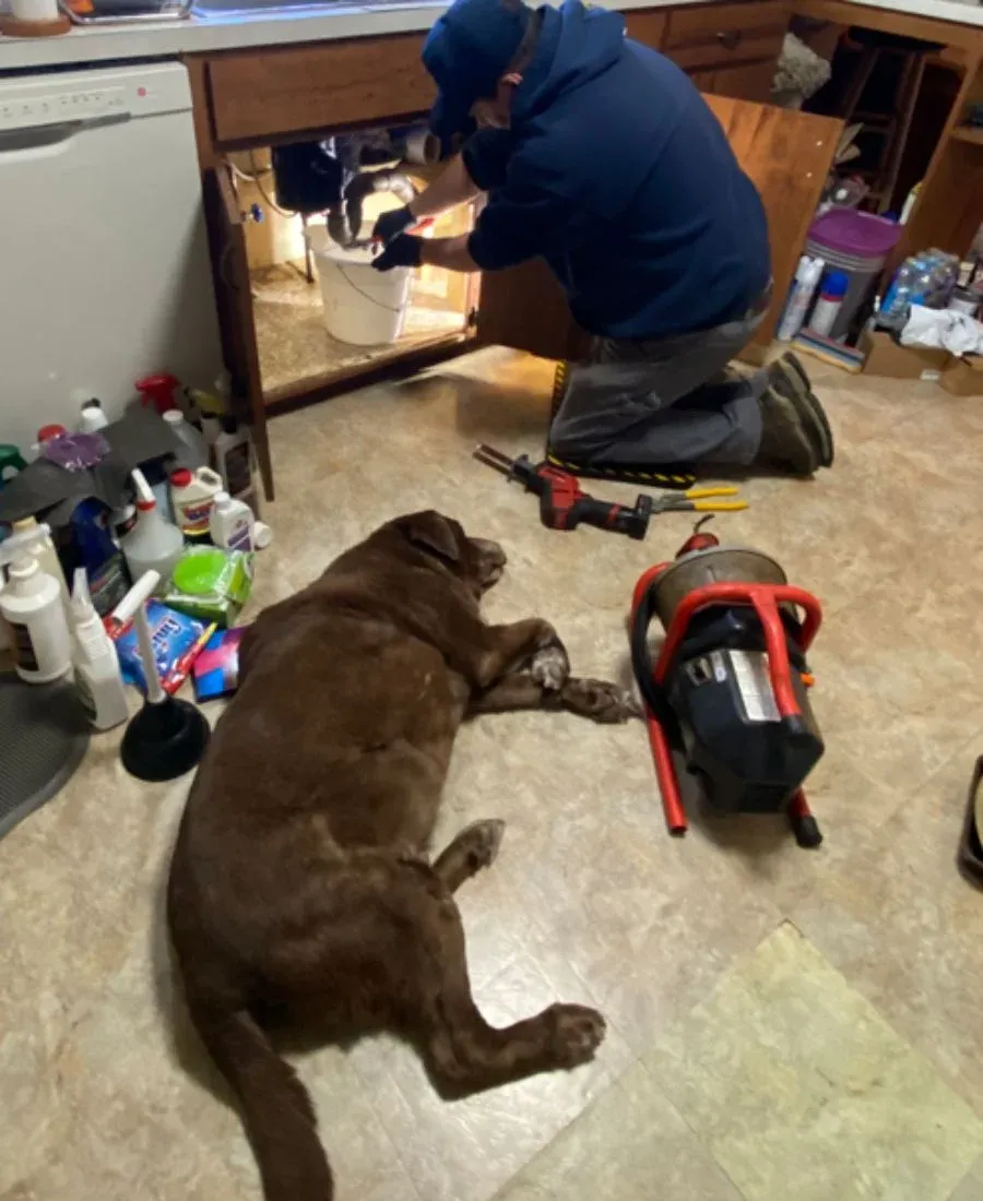 plumbing clear choice drain solutions