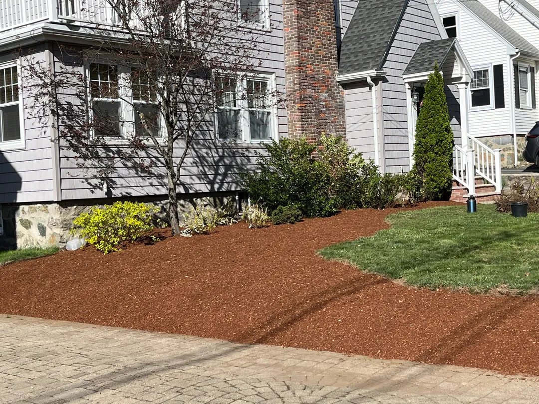 work photo from bptreeservice.com