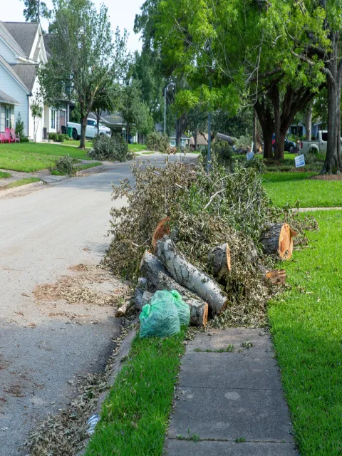 Storm cleanup with tree limbs on curb