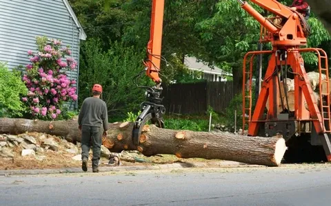work photo from elliotttreeandlandscaping.com