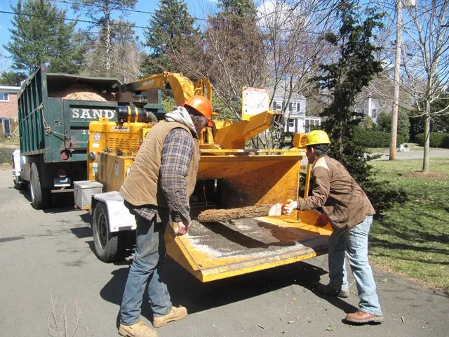 work photo from sandweisstrees.com